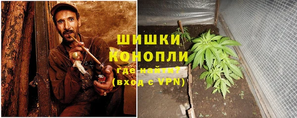 крисы Карпинск