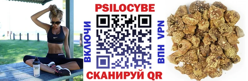 Галлюциногенные грибы GOLDEN TEACHER  Купить закладки  Светлый